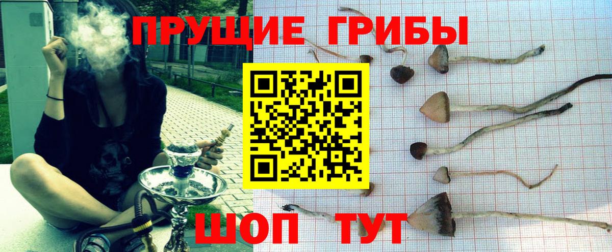 Галлюциногенные грибы мицелий Белгород