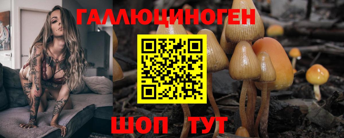 Галлюциногенные грибы MAGIC MUSHROOMS  Вход с VPN  Белгород  Псилоцибиновые грибы Psilocybine cubensis 